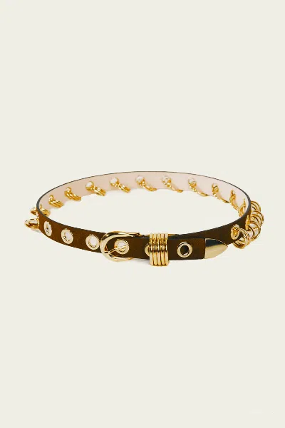 Dehanche Revenge Suede Belt In Chocolate In Brown