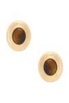 Dehanche Stone Stud Earrings In Multi
