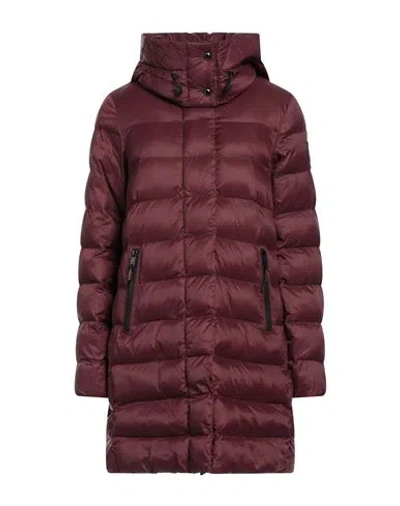 Dekker Woman Down Jacket Garnet Size 10 Polyamide In Red