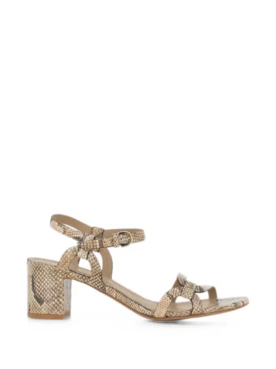 Del Carlo Betty Snake-effect Buckled Sandals In Animal Print
