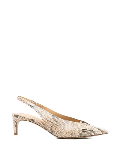Del Carlo Paris Snakeskin-effect Pumps In Blue