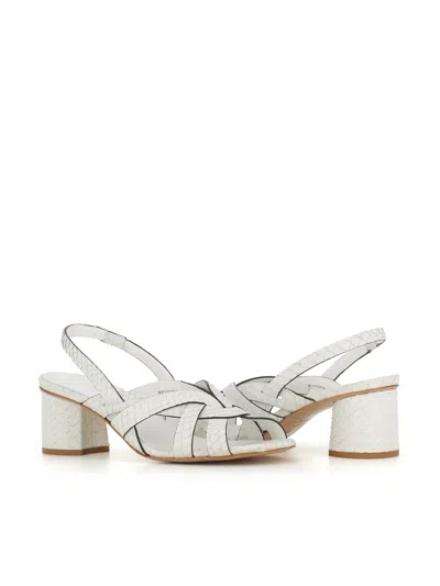 Del Carlo Sandal 11719 In White