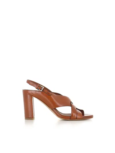 Del Carlo Sandal 11921 In Brown