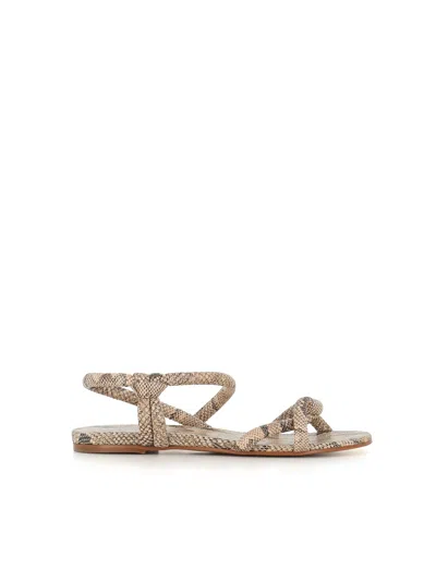 Del Carlo 12107 Twisted-strap Sandals In Animal Print