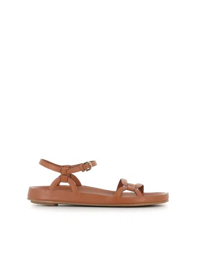 Del Carlo Sandal 12110 In Brown