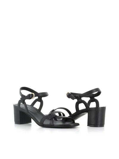 Del Carlo Buckle Strap Leather Sandals In Black