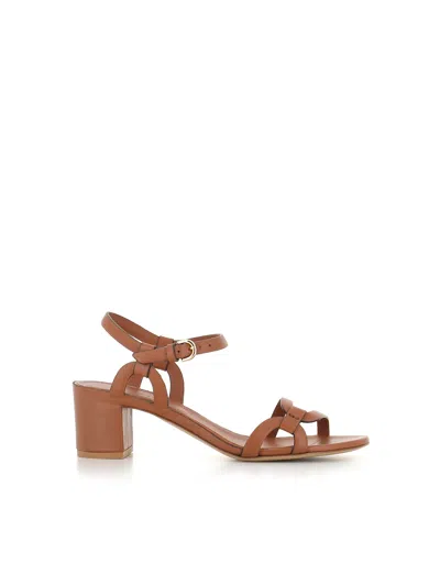 Del Carlo Strappy Sandals In Brown
