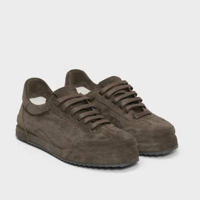 Del Carlo Sneakers In Animal Print