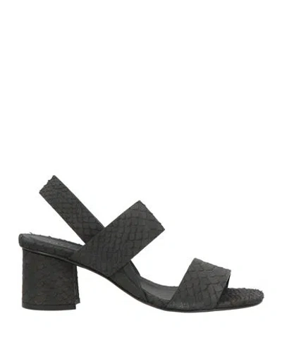 Del Carlo Woman Sandals Black Size 11 Leather In Multi