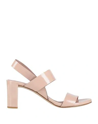 Del Carlo Woman Sandals Blush Size 6 Leather In Multi