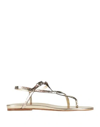 Del Carlo Woman Thong Sandal Gold Size 7.5 Leather In Multi