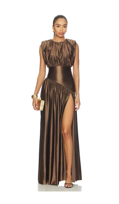 Delfi Avalon Dress In Brown