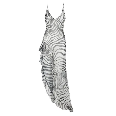 Delfi Collective Women's Lara Zebra Dress In Gray