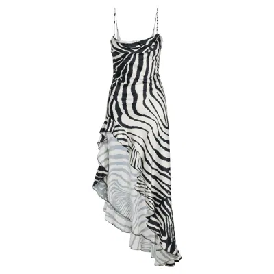 Delfi Collective Women's Neutrals Jacqueline Dress In Satin - Zebra Print In Multi