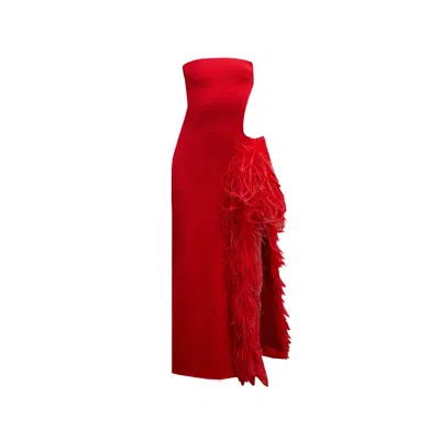 Delfi Collective Women's Vida Feather Dress - Red