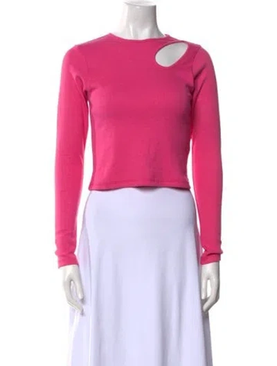 Pre-owned Delfina Balda Crew Neck Long Sleeve Crop Top W/ Tags In Pink