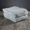 Delilah Home Organic Cotton Face Towels, Set Of 2 In Mineral Green