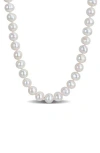 Delmar 8-9mm Cultured Freshwater Pearl Necklace In White