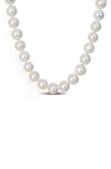 Delmar Cultured Freshwater Pearl Necklace In White