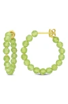 Delmar Faceted Hoop Earrings In Peridot