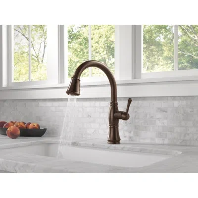 Delta Cassidy™ Pull Down Sprayer Kitchen Sink Faucet, Single Handle Kitchen Faucet In Venetian Bronze
