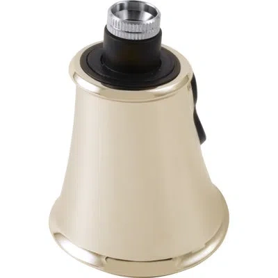 Delta Cassidy Wand Assembly In Polished Nickel