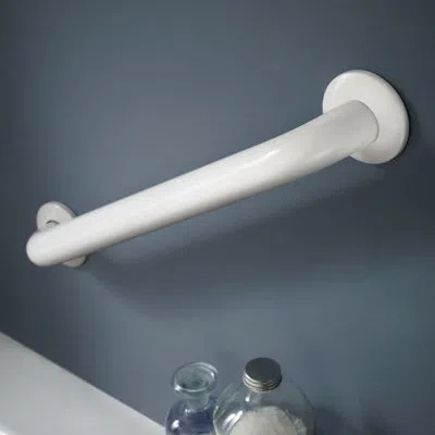 Delta Concealed Mounting Grab Bar In Stainless Steel
