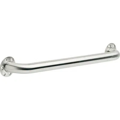 Delta Exposed Screw Stainless 39" Grab Bar