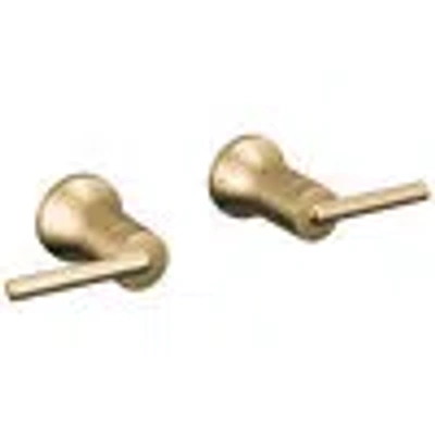 Delta Lever Handle -wall Mount Lav In Champagne Bronze