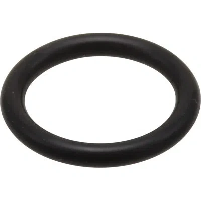 Delta O-ring For Shower Arm In Not Applicable