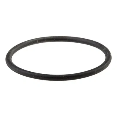 Delta Palo O-ring In Not Applicable