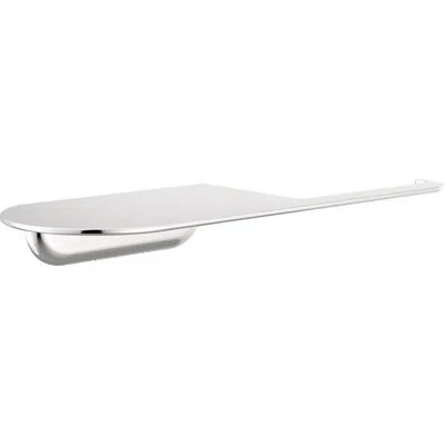 Delta Pivoting Tissue Holder With Shelf In Chrome