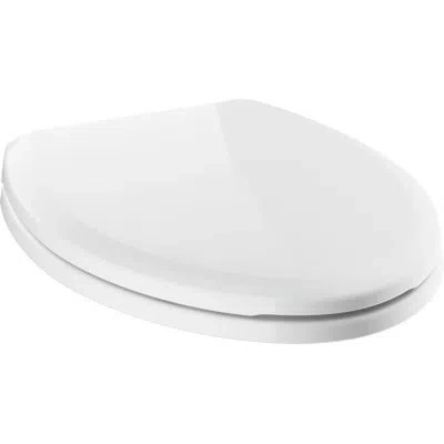 Delta Sanborne Elongated Toilet Seat