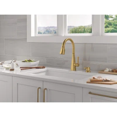 Delta Soap Dispenser In Brushed Gold