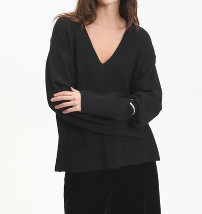 Deluc Asclepias V-neck Sweater In Black