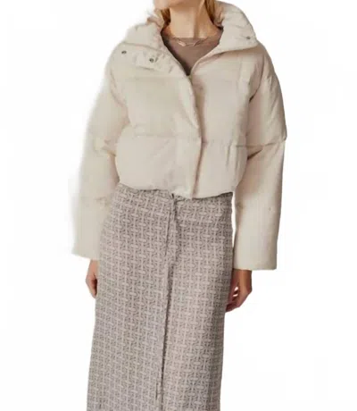Deluc Cornus Puffer Jacket In Crystal Grey In Neutral