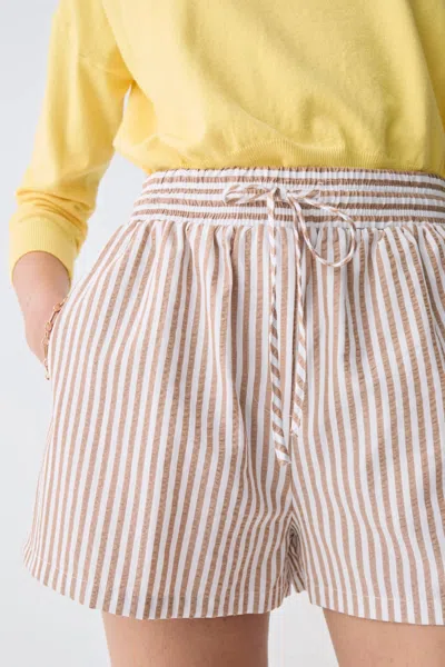 Deluc Evora Shorts In Striped Tan