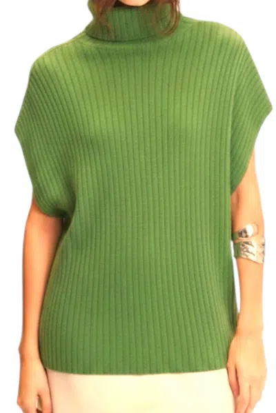 Deluc Marlon Turtleneck Vest In Green