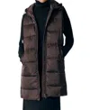 Deluc Sambucus Puffer Vest In Brown In Brown