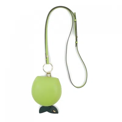 Pre-owned Delvaux Green Handbag Sling Bag ()