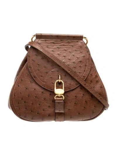 Pre-owned Delvaux Ostrich Messenger Bag In Brown