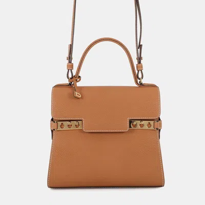 Pre-owned Delvaux Tanpet 2way Handbag Vegetal Ivory Crispy Calf Leather Size Pm In Brown