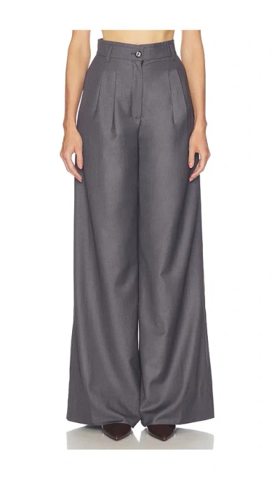 Deme By Gabriella Begonia Pants In Gray