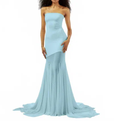 Deme By Gabriella Dahlia Tube Maxi Dress In Blue