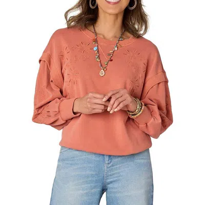 Democracy Petites Womens Embroidered Cotton Crewneck Sweater In Toasted Pumpkin