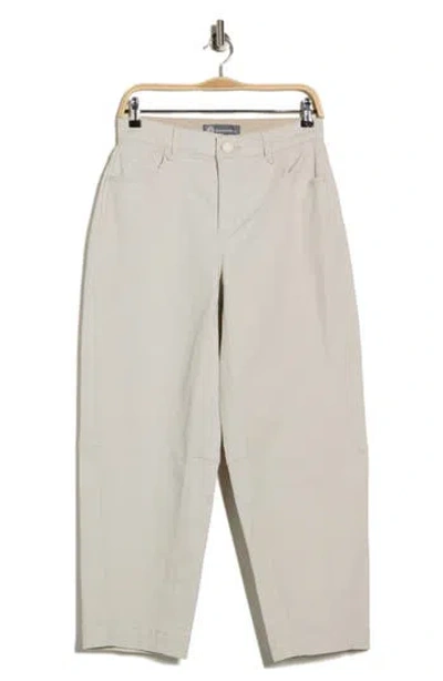 Democracy Relaxed Fit Barrel Leg Jeans In Gray