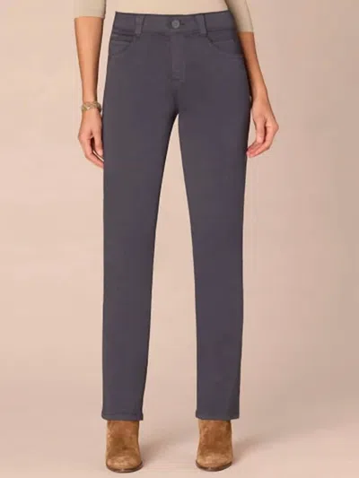 Democracy Straight Leg Colored Jeans In Pewter In Silver