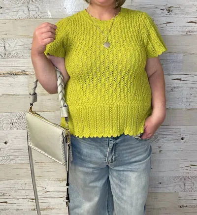 Democracy Women's Peplum Crochet Sweater Top In Celery Green