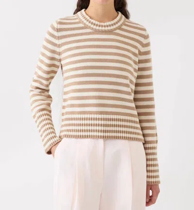 Demylee New York Micha Stripe Sweater In Cashew/off White In Brown