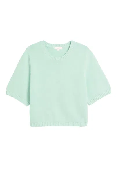 Demylee New York Women's Annette Shortsleeve Top In Mint In Green